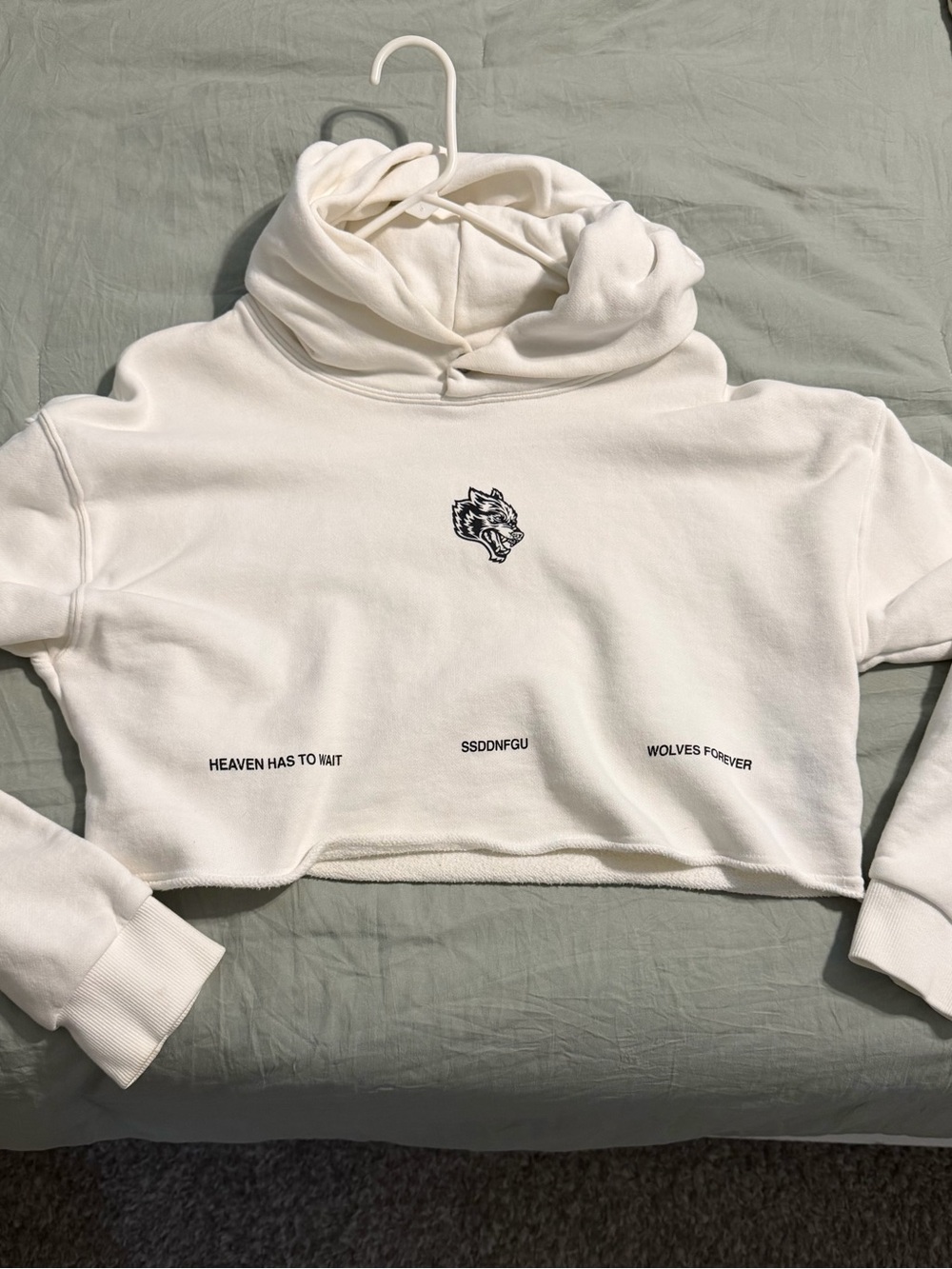 Darc Sport Cropped Hoodie